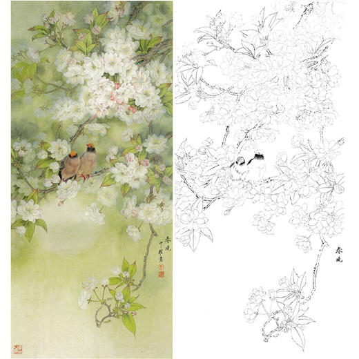 周中耀竖幅工笔花鸟白描底稿-樱花-春晓-FV05 商品图0