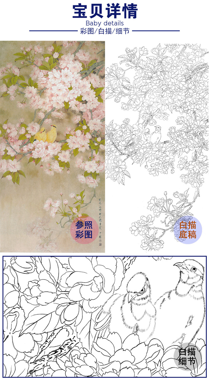 白描底稿周中耀樱花染香莺鸣一两啭樱花数重开多种白描尺寸可选fv12