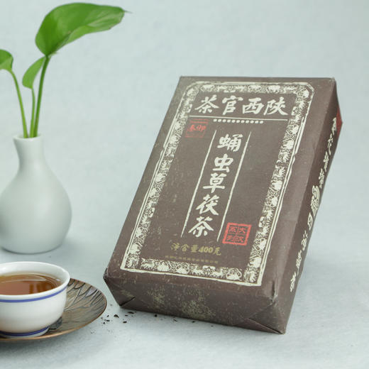 秦御蛹虫草茯砖茶（汉） 陕西茯砖茶黑茶茶叶金花蛹虫草茯茶汉系列400g 商品图0
