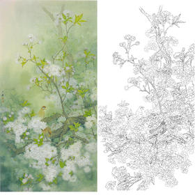 周中耀竖幅工笔花鸟白描底稿-《又是清明三月天》-多种白描尺寸可选-FV11