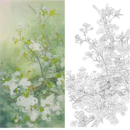 周中耀竖幅工笔花鸟白描底稿-《又是清明三月天》-多种白描尺寸可选-FV11 商品图0