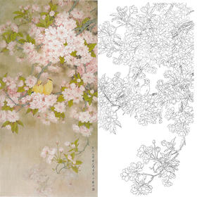 竖幅工笔花鸟白描底稿-周中耀樱花-染香《莺鸣一两啭樱花数重开》-多种白描尺寸可选-FV12