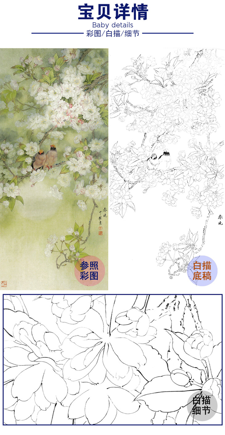 白描底稿-周中耀工笔花鸟-春晓fv05