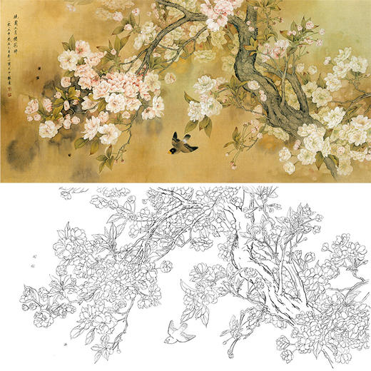 周中耀横幅工笔花鸟白描底稿-樱花-晓园三月樱花醉-FV10 商品图0