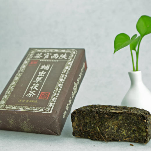 秦御蛹虫草茯砖茶（汉） 陕西茯砖茶黑茶茶叶金花蛹虫草茯茶汉系列400g 商品图3