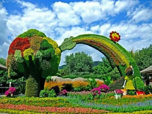 狄浦看花 商品图1
