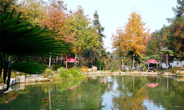 【铜陵美食】永泉农庄度假区江南味道(春游踏青好去处