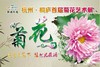 狄浦看花 商品缩略图0