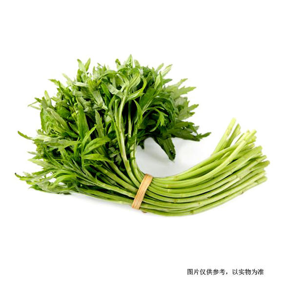 嫩茎叶,根状茎,又名蒌蒿,水艾,水蒿等.多年生草本;植株具清香气味.