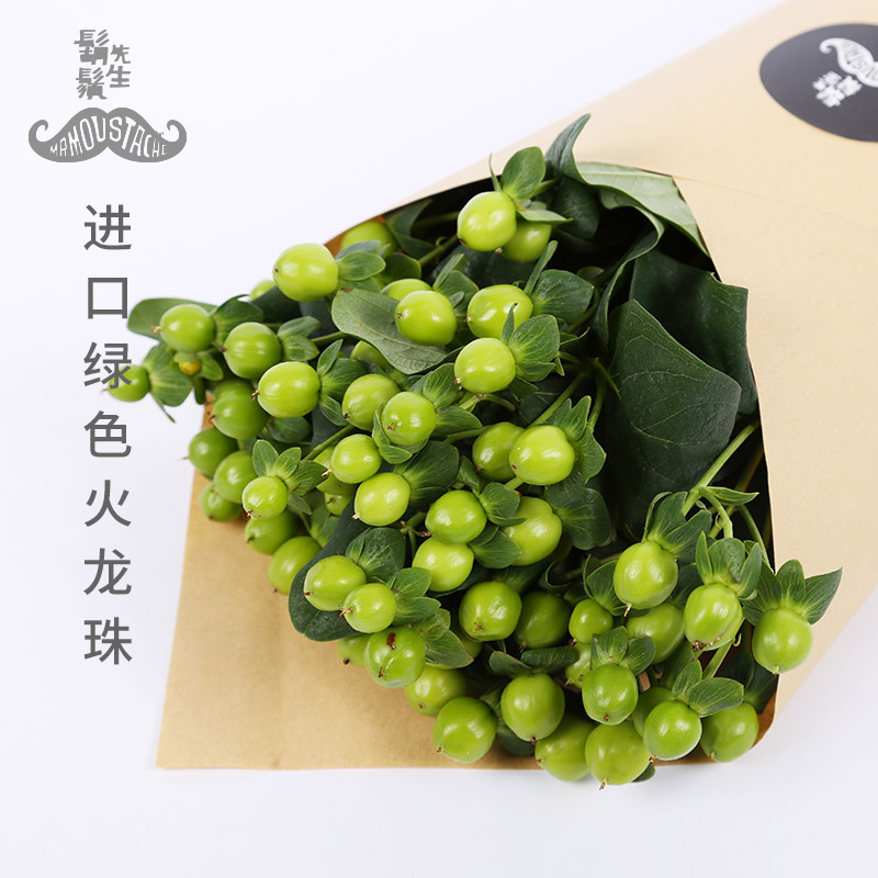 胡须先生 荷兰进口粉色白色绿色火龙珠10枝 单品花束 粉豆白豆绿豆都