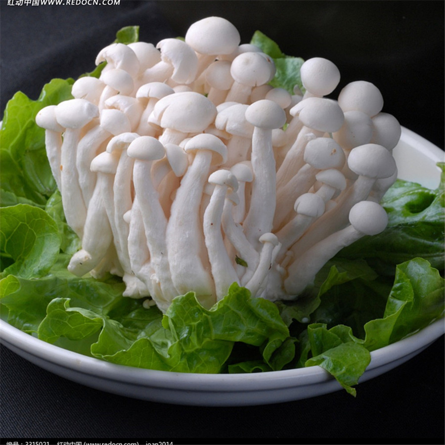 菌菇类 | 白玉菇/盒(150g)