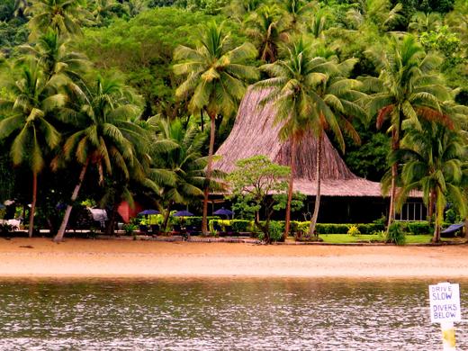 【度假村】斐济Beqa Lagoon潜水度假套餐--刺激鲨鱼潜，绝美珊瑚礁 商品图7