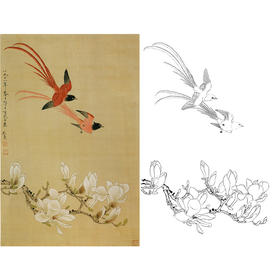 俞致贞竖幅工笔花鸟白描底稿《玉兰绶带》-多种白描尺寸可选-GV02