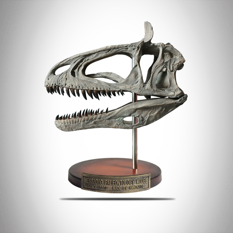 【包邮】【菊石制造】恐龙化石 冰脊龙 冰棘龙 头骨模型