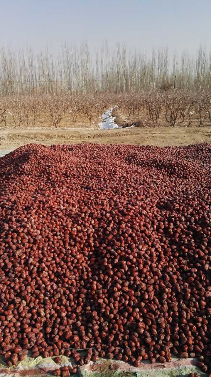 新疆喀什红枣礼盒4kg