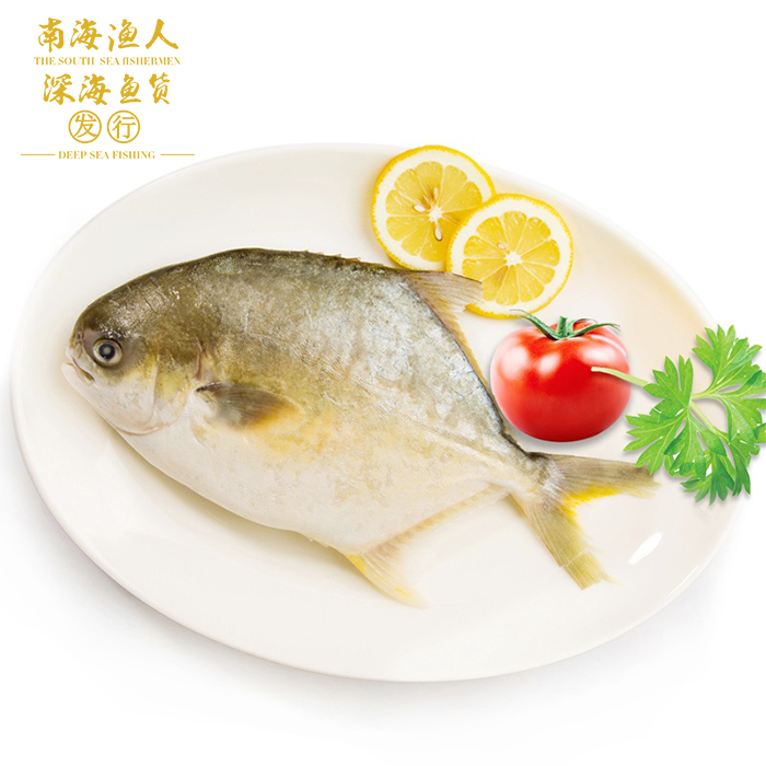 ϺˡϺʽ 䶳ʽ װ