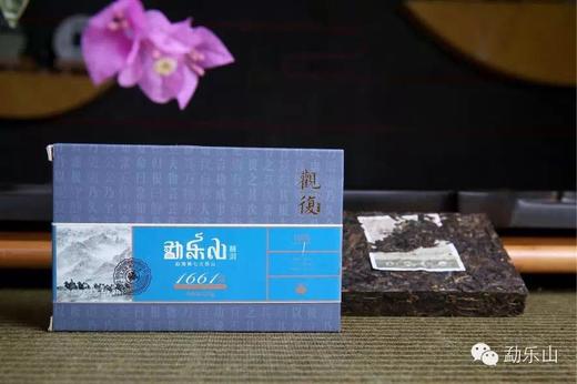 2015年观复（1661）生砖250g 商品图1