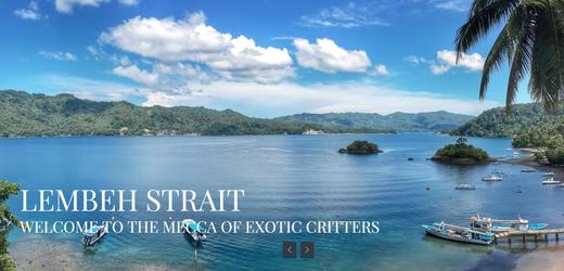 【度假村】印尼蓝碧潜水套餐 - Dabirahe 商品图8