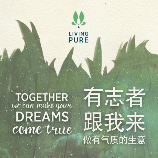 丽珀Living Pure银卡会员见面礼 商品图1