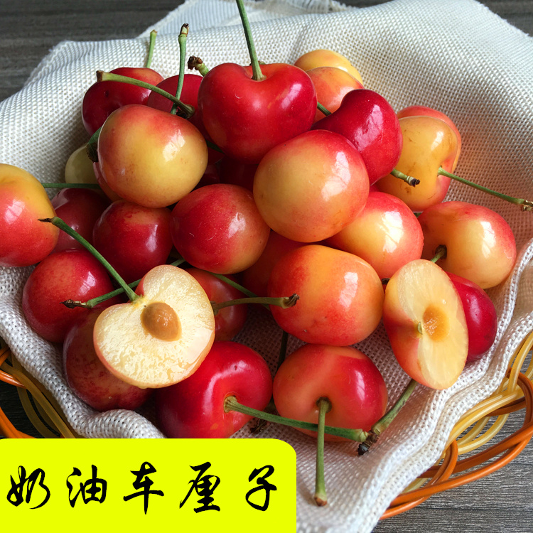 47 件 规格:  奶油车厘子 一盒 立即购买     /      支付: 微信支付