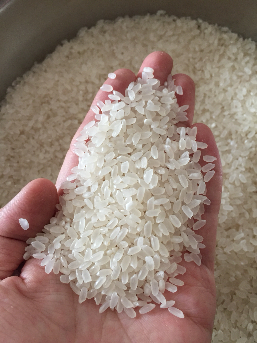 宁河大米芦花香米 5kg【北塘,生态城送货上门,其他区域按照快递价格补