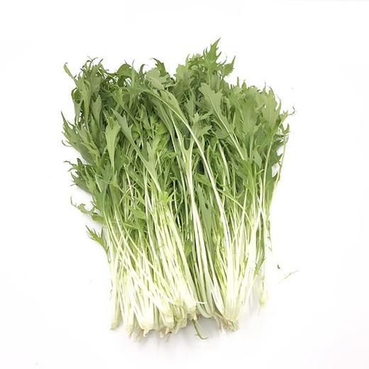 芊草.京水菜 320-350g/袋 商品图0