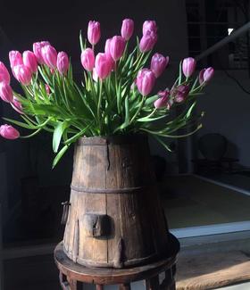 日本18/19世纪斗量大木筒