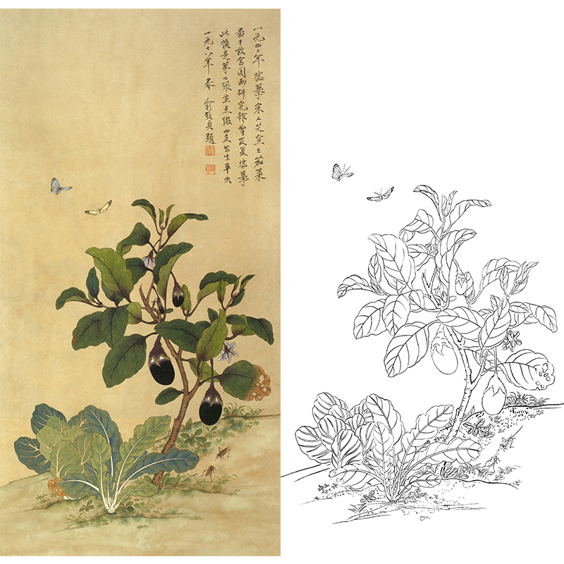 白描底稿工笔蔬菜茄子俞致贞茄菜图多种白描尺寸可选jv06