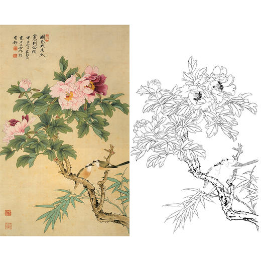竖幅工笔花鸟白描底稿-牡丹-俞致贞《国色天香》-多种白描尺寸可选-JV01 商品图0