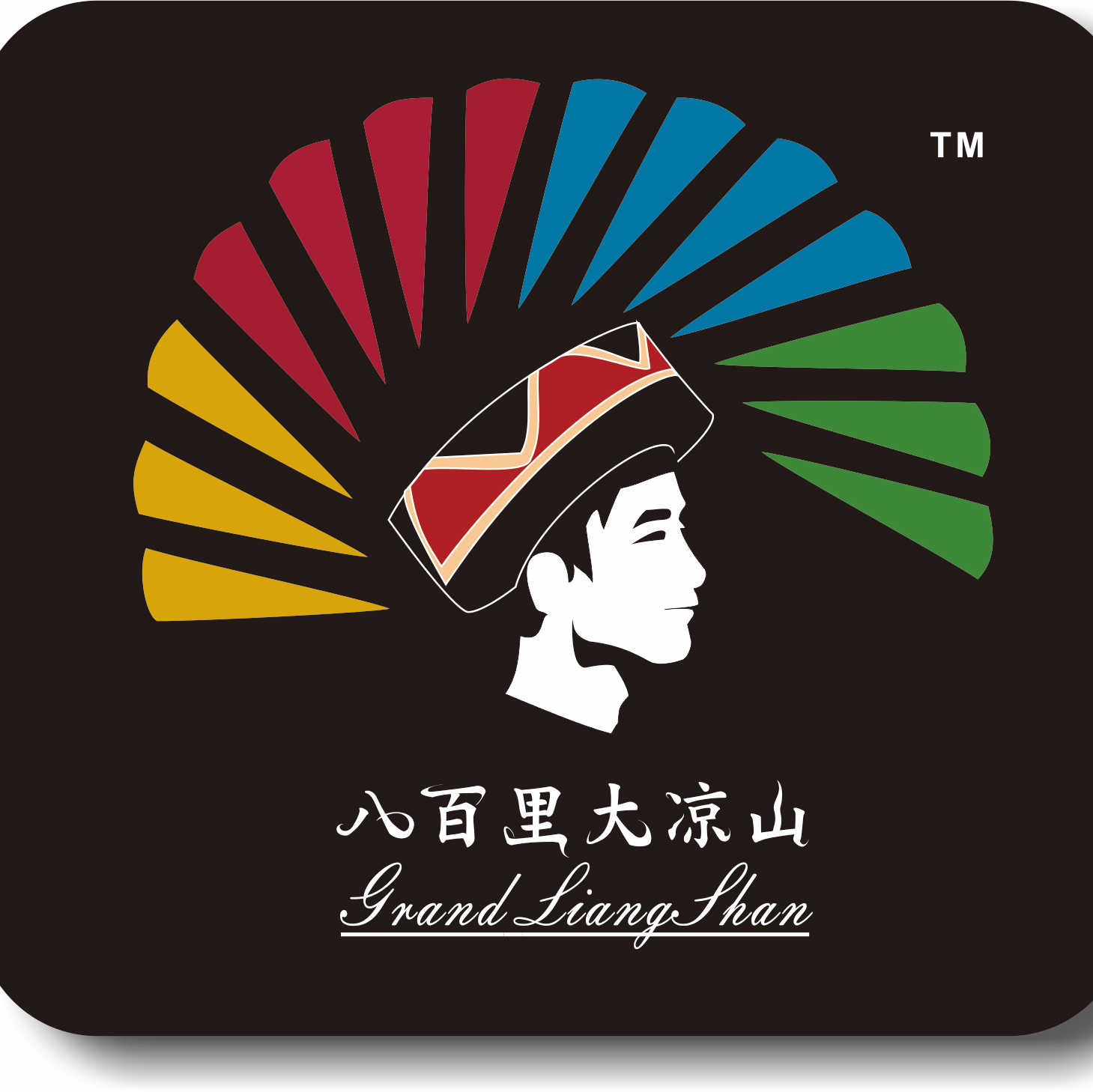 凉山州川兴新鲜采摘巧克力草莓绿色无污染4斤装顺丰包邮私人定制
