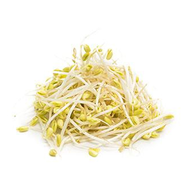 黄豆芽 1斤/份 - 启农有机蔬菜