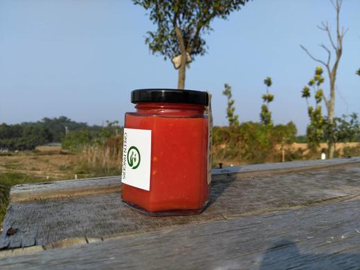 有机番茄酱 | 绿家自产 * Organic tomato sauce | Self-production 商品图1