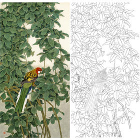竖幅工笔花鸟白描底稿-鹦鹉-周彦生《幽林》-多种白描尺寸可选-QN05