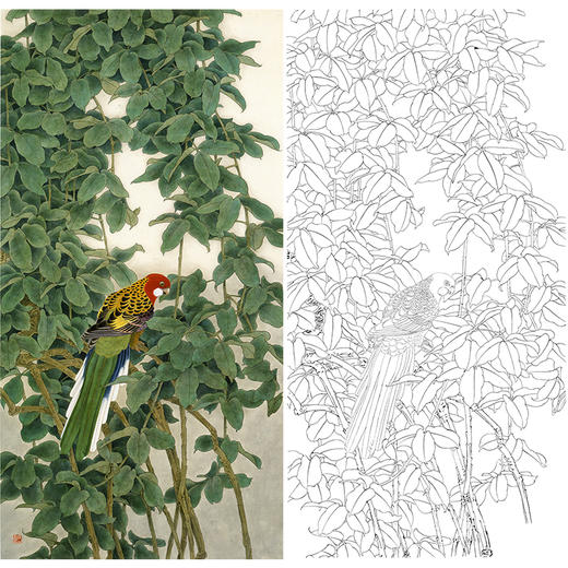 竖幅工笔花鸟白描底稿-鹦鹉-周彦生《幽林》-多种白描尺寸可选-QN05 商品图0