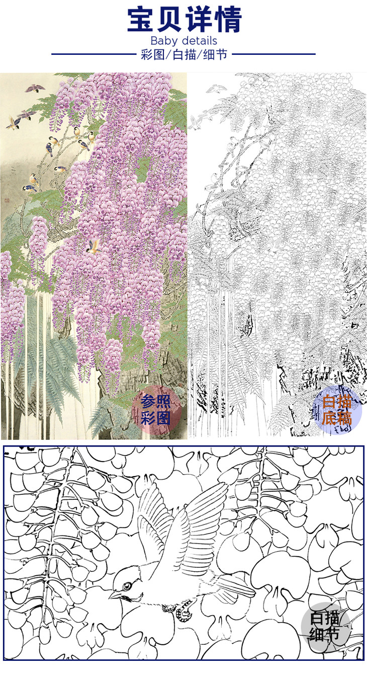 白描底稿工笔花鸟周彦生紫藤春晖浪漫多种白描尺寸可选qn01