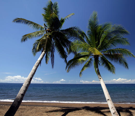 【度假村】杜马盖地Atlantis Dive Resort Dumaguete潜水套餐 商品图0