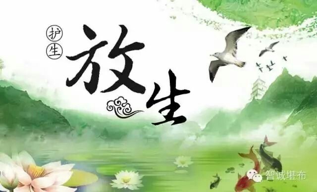 放生是财布施,法布施,无畏布施,三施皆具!