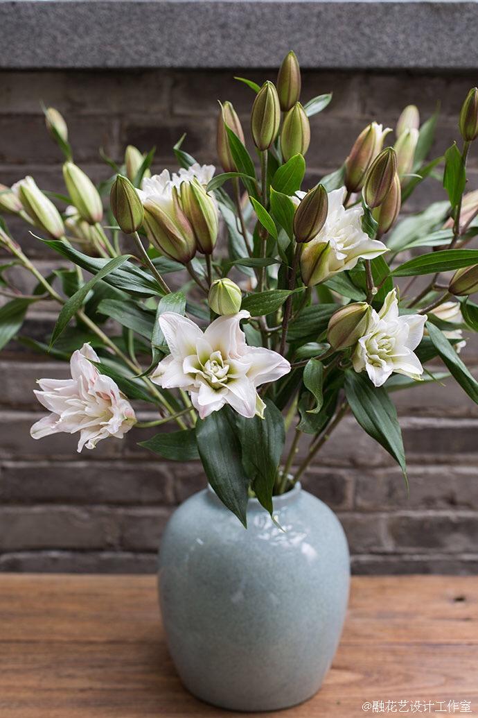 生活的小确幸 之重瓣百合