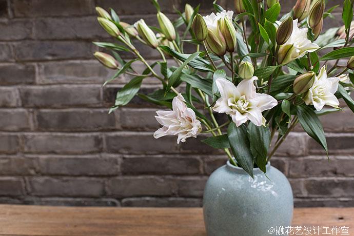 生活的小确幸 之重瓣百合