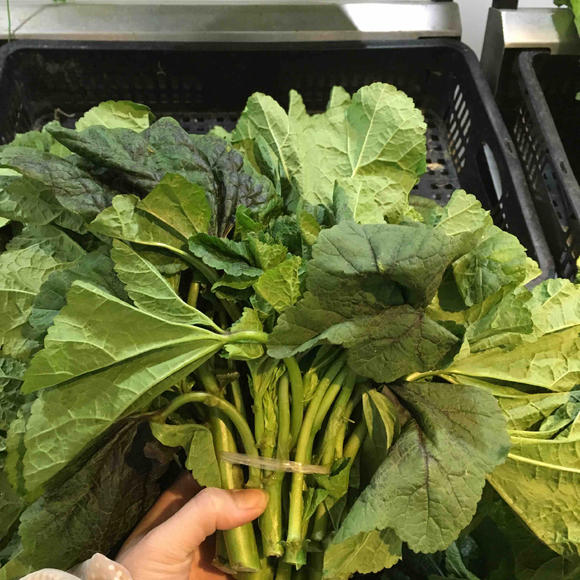 【蔬菜】冬苋菜约650g/份