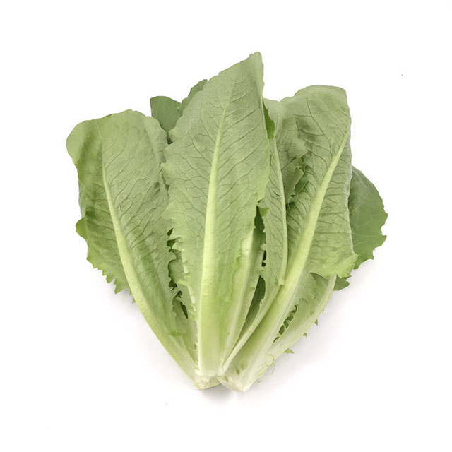 翠羽生菜 （Green Romaine ）220-250g/袋