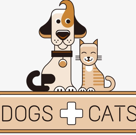 宠小爷商城200511