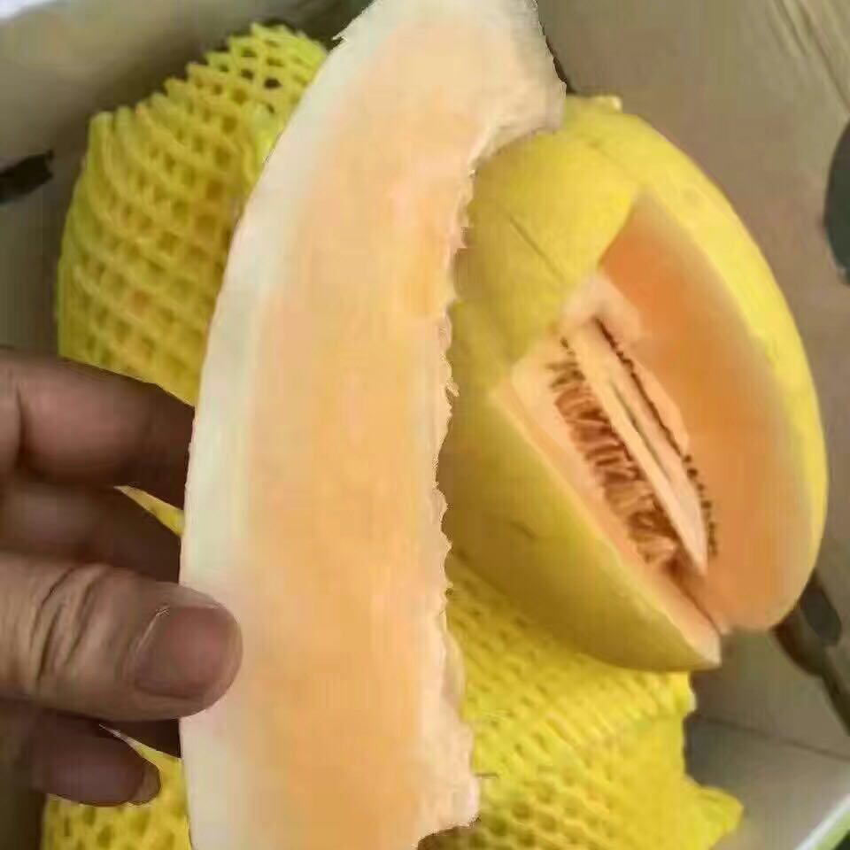 ۹ϡ