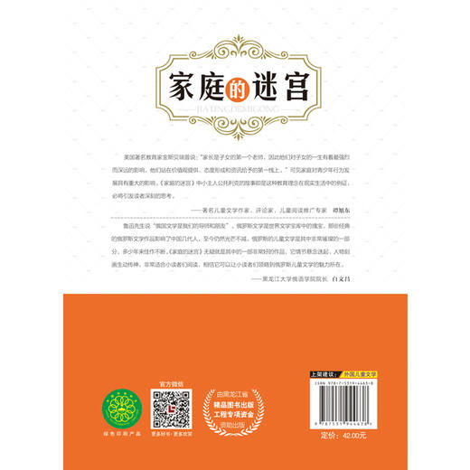 家庭的迷宫 商品图1