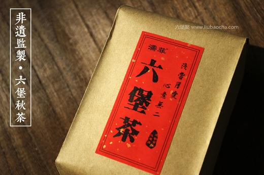 濡菲六堡茶 2013秋茶六堡茶 (250g) 商品图0