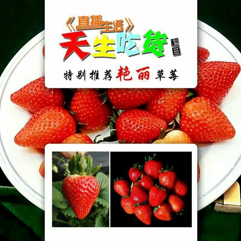 沈阳美迪中天200511