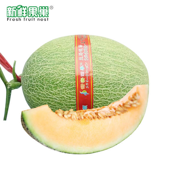 海南丝路晓蜜瓜 超甜的蜜瓜