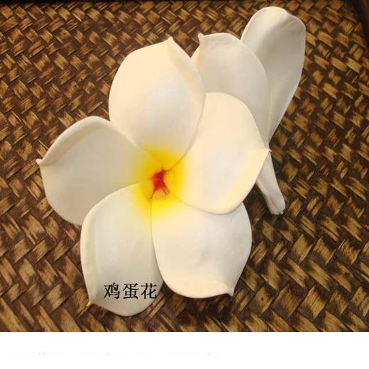 鸡蛋花 商品图0