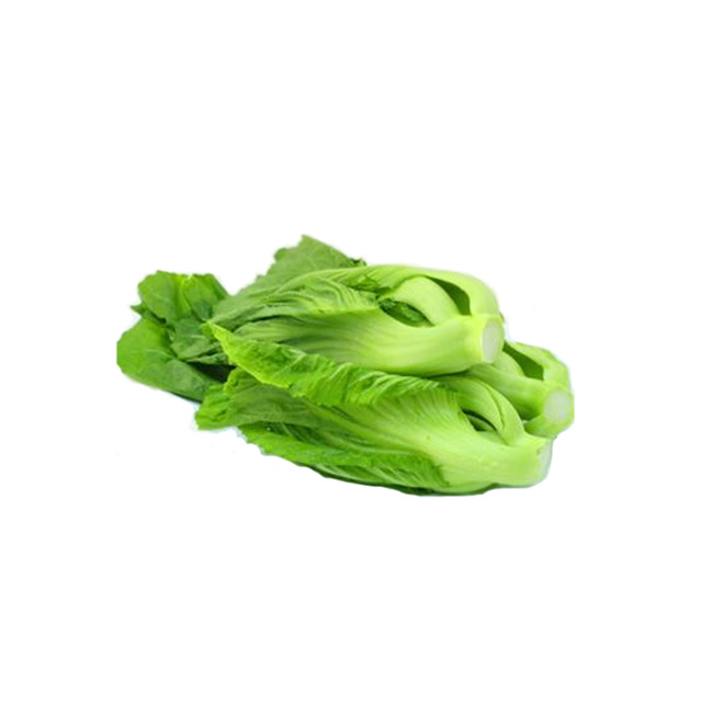 水东芥菜500g/份