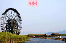 【妈网春游】2017/3/5 周日 苏州太湖湿地+植物科普馆+熊猫馆，科博馆发车，途径保利电影院